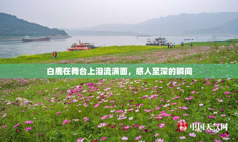 白鹿在舞台上泪流满面，感人至深的瞬间