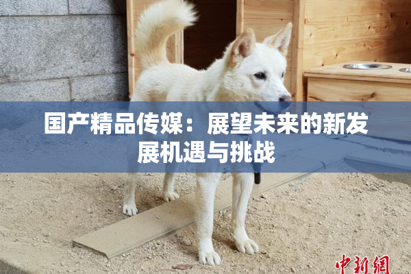 国产精品传媒：展望未来的新发展机遇与挑战