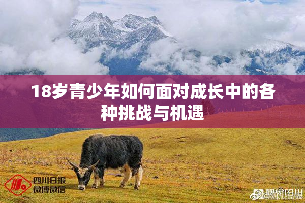 18岁青少年如何面对成长中的各种挑战与机遇