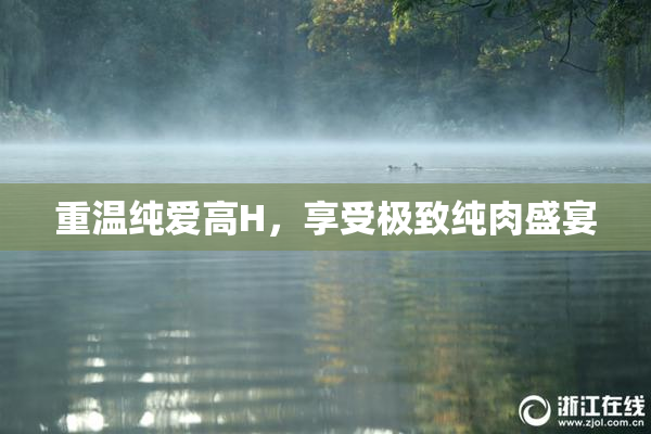 重温纯爱高H，享受极致纯肉盛宴