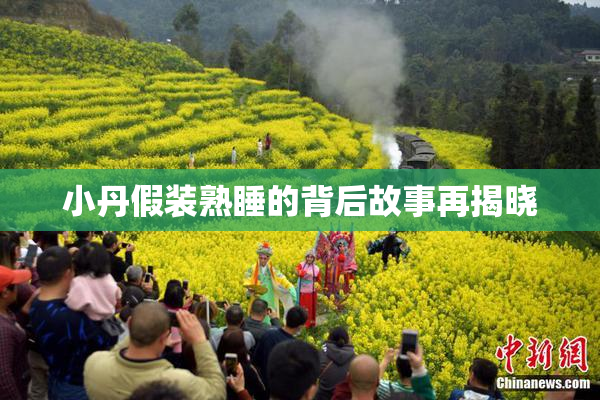 小丹假装熟睡的背后故事再揭晓