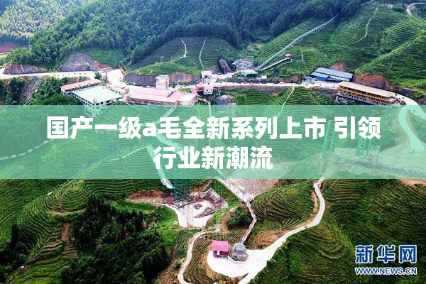 国产一级a毛全新系列上市 引领行业新潮流