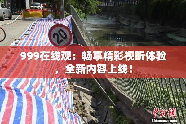 999在线观：畅享精彩视听体验，全新内容上线！