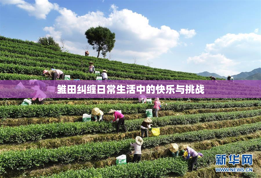 雏田纠缠日常生活中的快乐与挑战