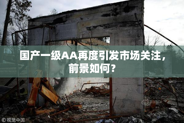 国产一级AA再度引发市场关注，前景如何？