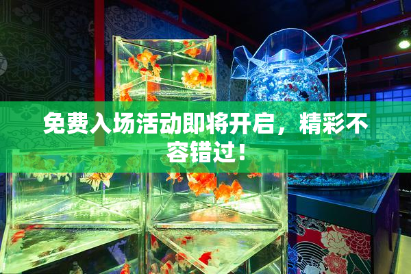 免费入场活动即将开启，精彩不容错过！