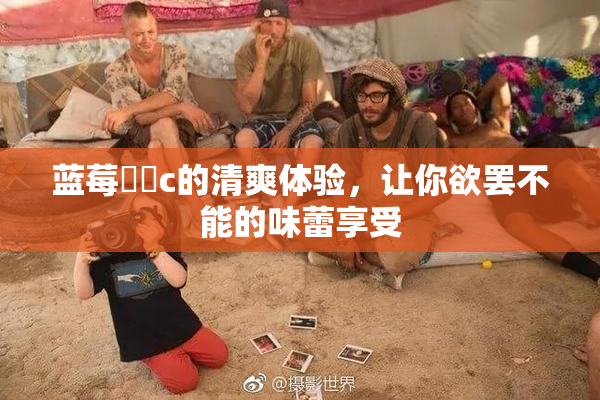 蓝莓❌‌c的清爽体验，让你欲罢不能的味蕾享受