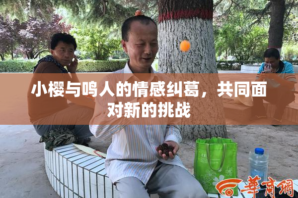 小樱与鸣人的情感纠葛，共同面对新的挑战