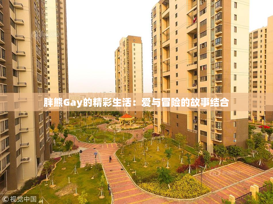胖熊Gay的精彩生活：爱与冒险的故事结合