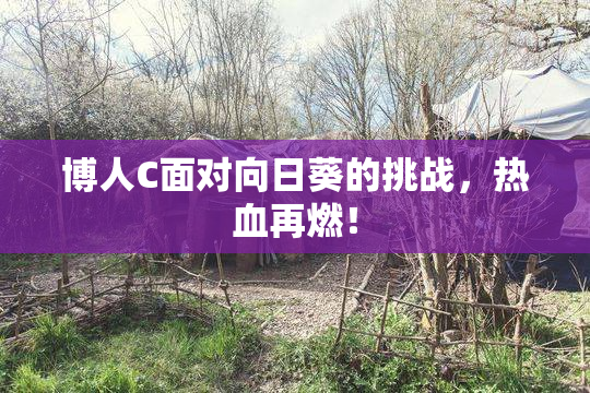 博人C面对向日葵的挑战，热血再燃！