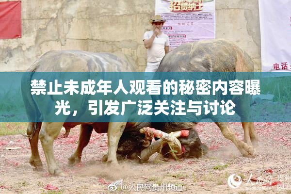 禁止未成年人观看的秘密内容曝光，引发广泛关注与讨论