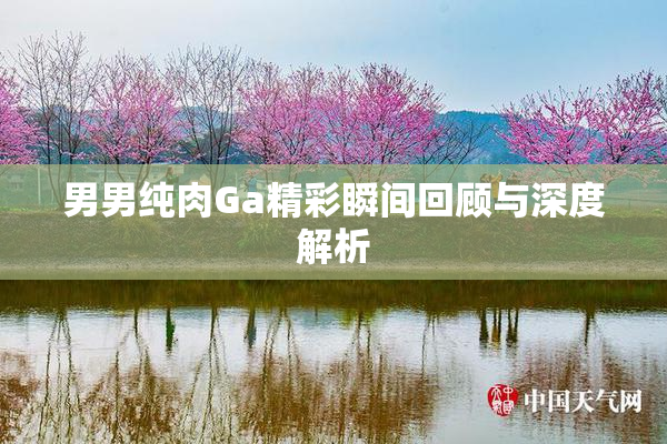 男男纯肉Ga精彩瞬间回顾与深度解析