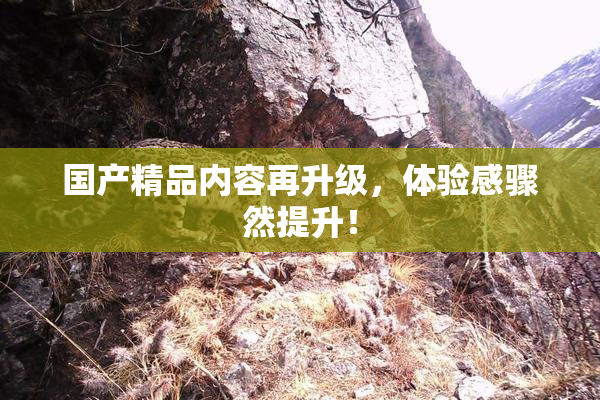 国产精品内容再升级，体验感骤然提升！
