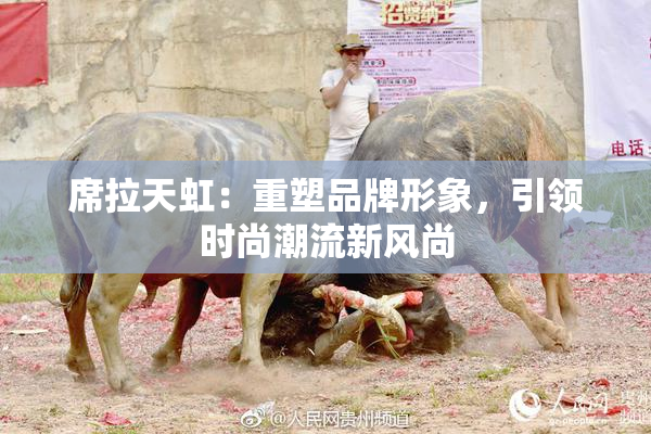 席拉天虹：重塑品牌形象，引领时尚潮流新风尚