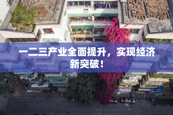 一二三产业全面提升，实现经济新突破！