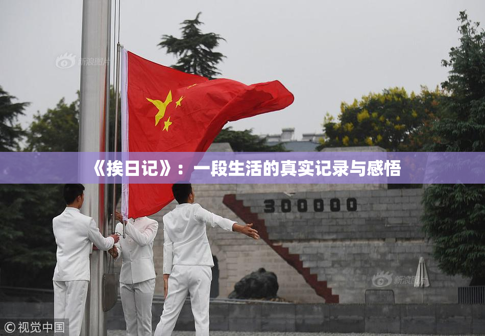 《挨日记》：一段生活的真实记录与感悟