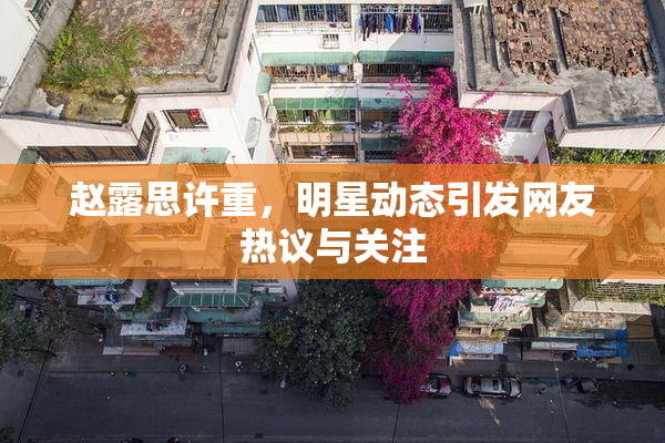 赵露思许重，明星动态引发网友热议与关注