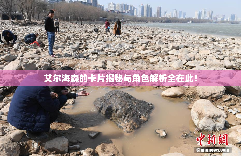 艾尔海森的卡片揭秘与角色解析全在此！