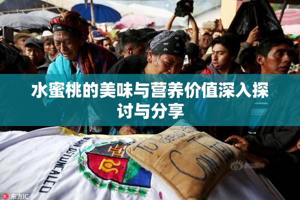 水蜜桃的美味与营养价值深入探讨与分享
