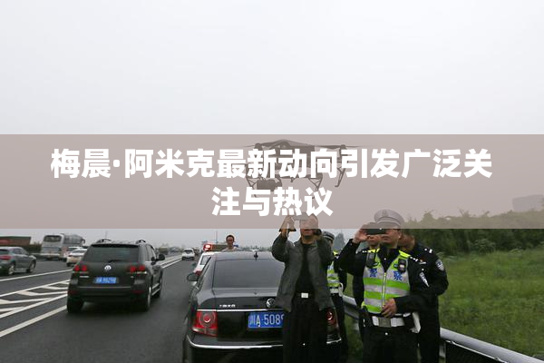 梅晨·阿米克最新动向引发广泛关注与热议