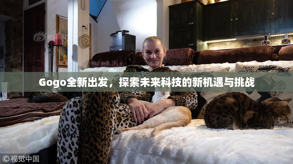 Gogo全新出发，探索未来科技的新机遇与挑战