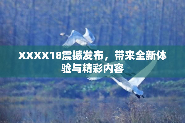 XXXX18震撼发布，带来全新体验与精彩内容