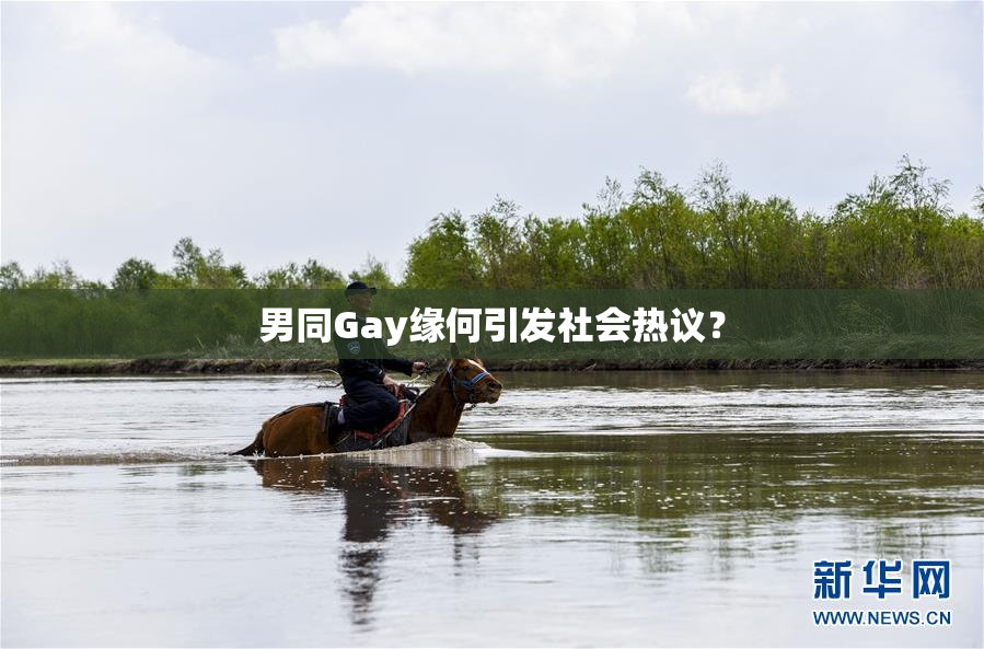 男同Gay缘何引发社会热议？