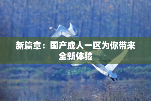 新篇章：国产成人一区为你带来全新体验