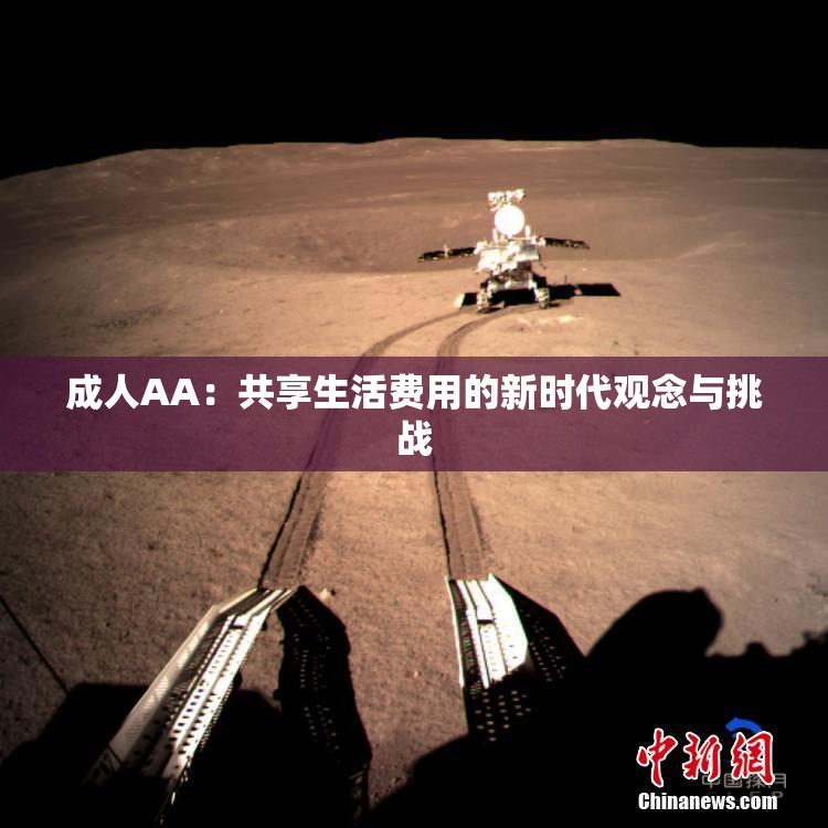 成人AA：共享生活费用的新时代观念与挑战