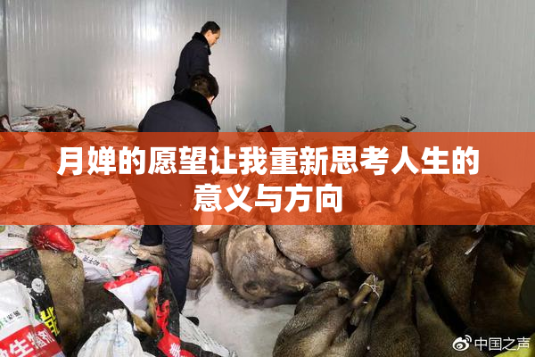 月婵的愿望让我重新思考人生的意义与方向