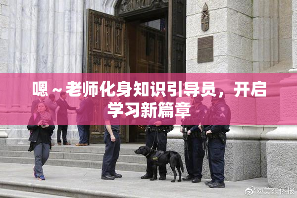 嗯～老师化身知识引导员，开启学习新篇章