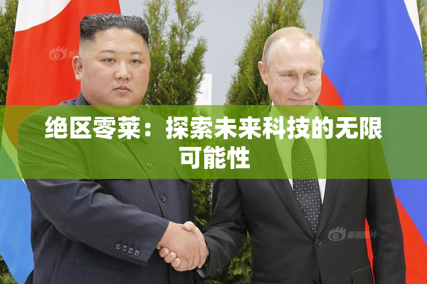 绝区零莱：探索未来科技的无限可能性