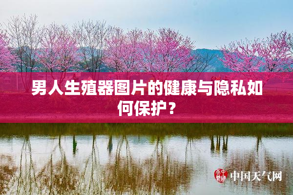 男人生殖器图片的健康与隐私如何保护？