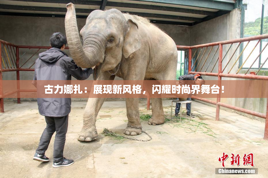 古力娜扎：展现新风格，闪耀时尚界舞台！