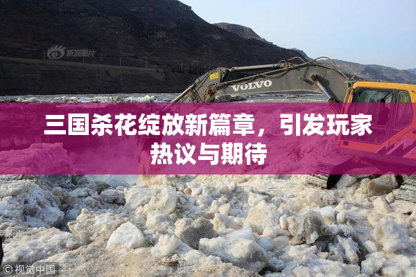 三国杀花绽放新篇章，引发玩家热议与期待