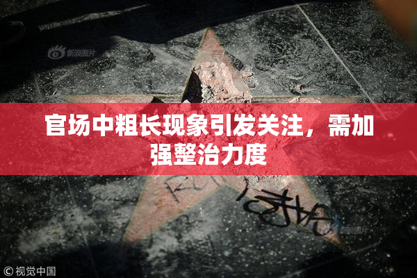 官场中粗长现象引发关注，需加强整治力度