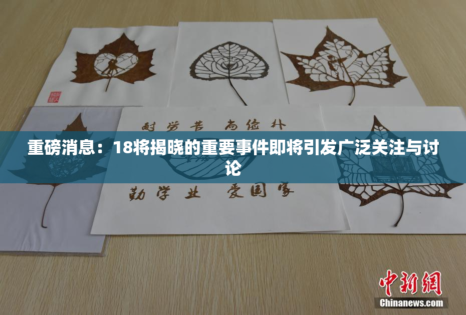 重磅消息：18将揭晓的重要事件即将引发广泛关注与讨论