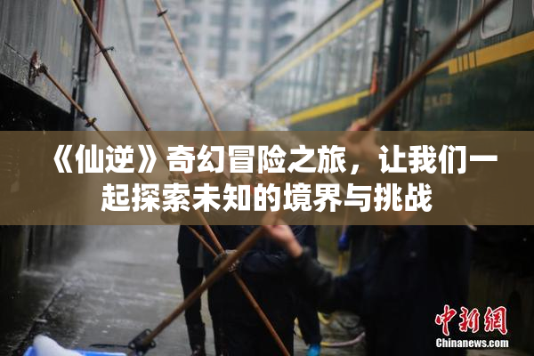 《仙逆》奇幻冒险之旅，让我们一起探索未知的境界与挑战