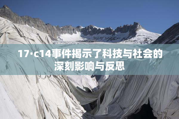 17·c14事件揭示了科技与社会的深刻影响与反思