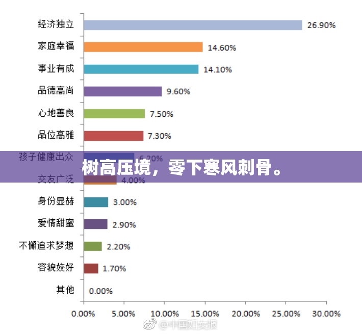 树高压境，零下寒风刺骨。