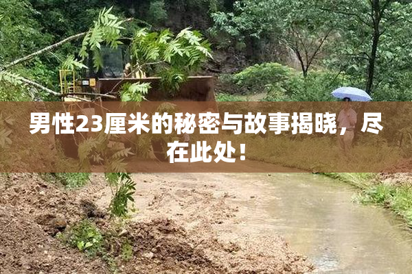 男性23厘米的秘密与故事揭晓，尽在此处！