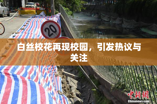 白丝校花再现校园，引发热议与关注