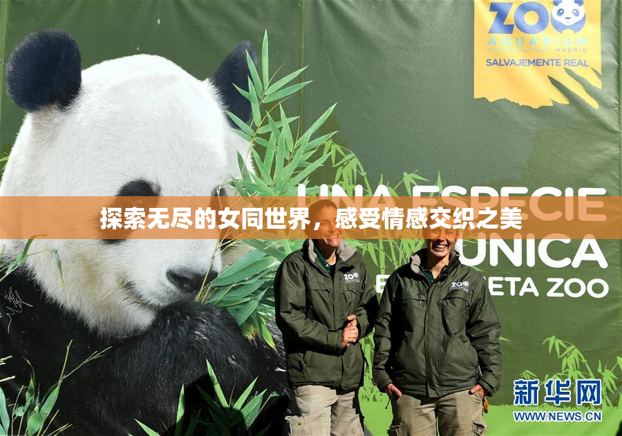 探索无尽的女同世界，感受情感交织之美
