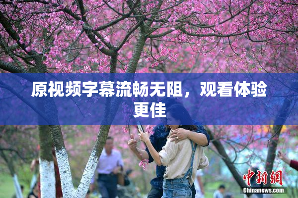 原视频字幕流畅无阻，观看体验更佳