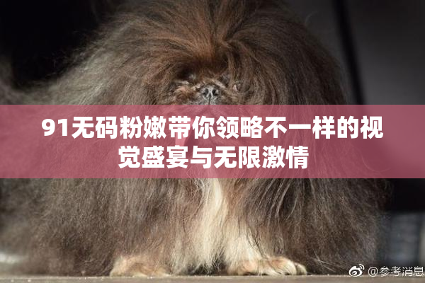 91无码粉嫩带你领略不一样的视觉盛宴与无限激情