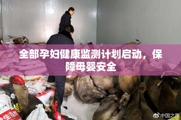 全部孕妇健康监测计划启动，保障母婴安全
