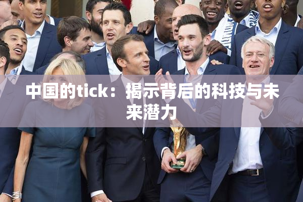 中国的tick：揭示背后的科技与未来潜力