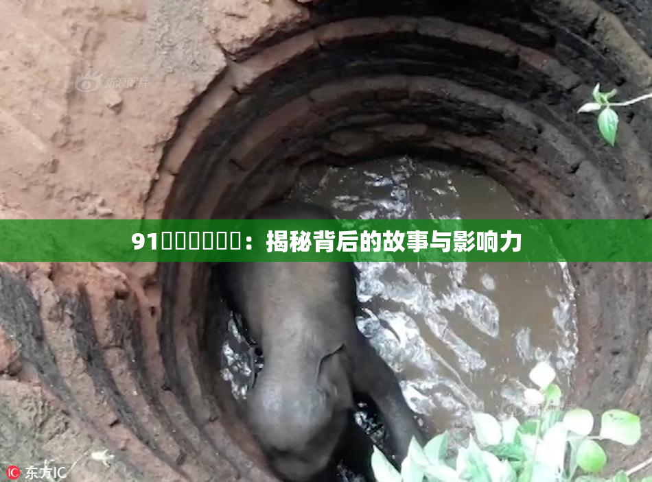 91❌‌❌‌❌‌：揭秘背后的故事与影响力