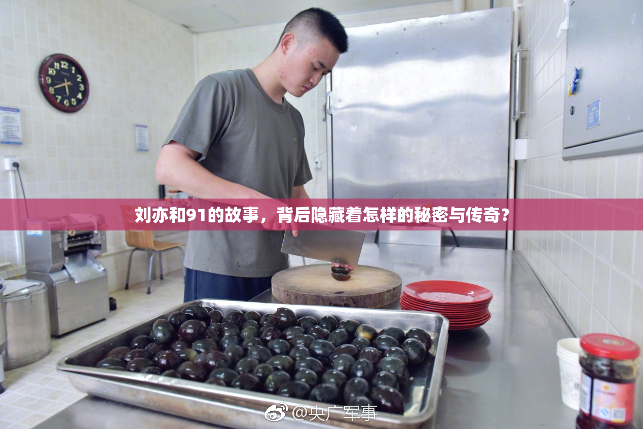 刘亦和91的故事，背后隐藏着怎样的秘密与传奇？