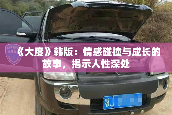 《大度》韩版：情感碰撞与成长的故事，揭示人性深处